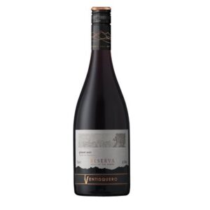 Reserva Soul of the Andes Pinot Noir 750ml